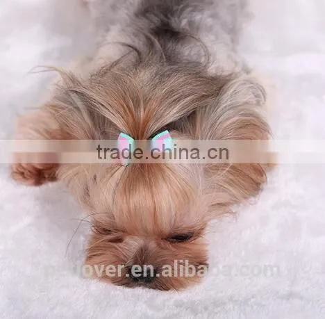 Cheap Stripe Pet Accessories Dogs and Cats photo-4