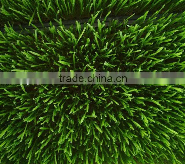 2016 Hydroponic Farm Fodder Growing System for Poultry/Livestock photo-2