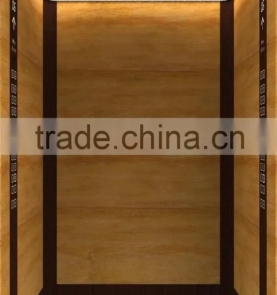 Hair Line Stainless Steel Passenger/Home/Recidential Lifts/elevator Manufacture photo-2