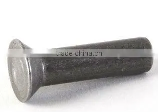 Countersunk Head Rivets