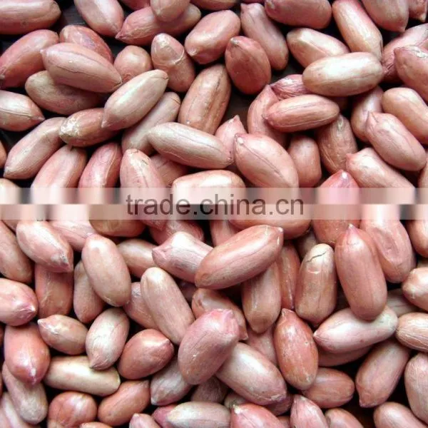 Roasted Peanut