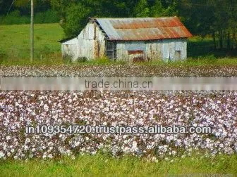 Raw Cotton