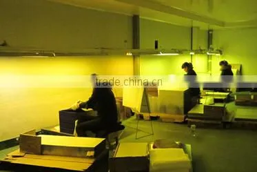 Thermal Positive CTcP Plate photo-4
