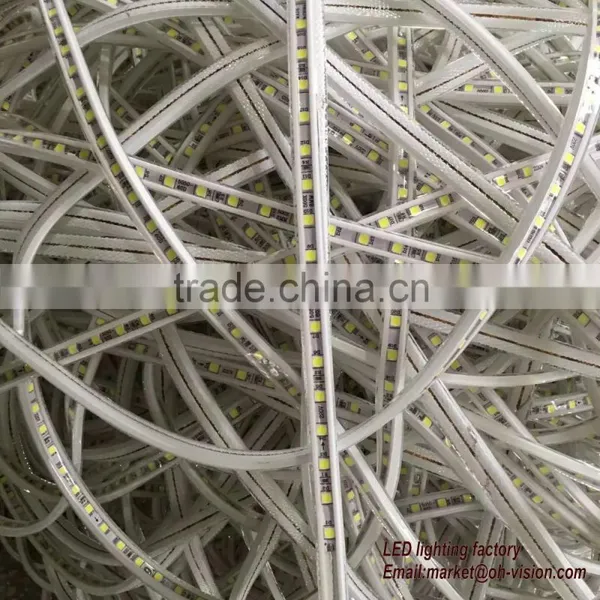 IP68 Cheap Led Flexible Strip photo-2