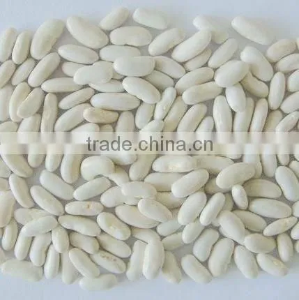 Big Size White Beans White Haricot Beans photo-5