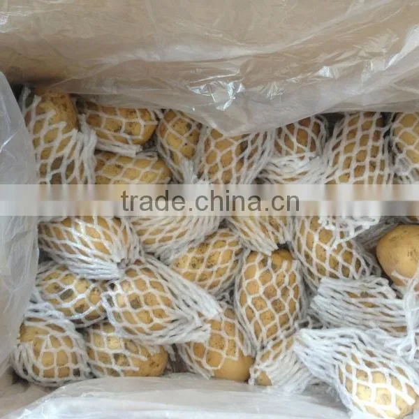 250G Size of 10KG Fresh Holland Potato photo-3