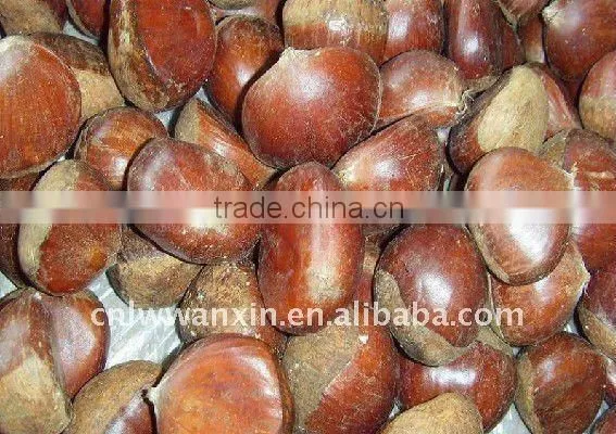 Supply All the Year Round Fresh Chestnut