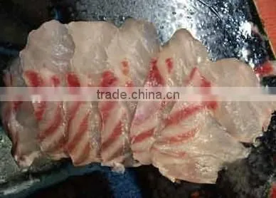 Kue Epinephelus Bruneus Longtooth Grouper photo-2