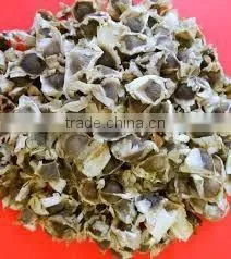 Moringa Leaves photo-4