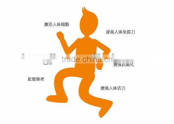 Coenzyme Q10