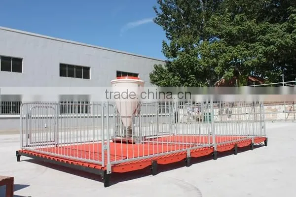 Poultry Feed Processing Equipment Stainless Steel Pigs Stall Nursery Crates photo-2