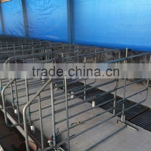 Clear Green pe Tarpaulin Agricultural Ground Cover