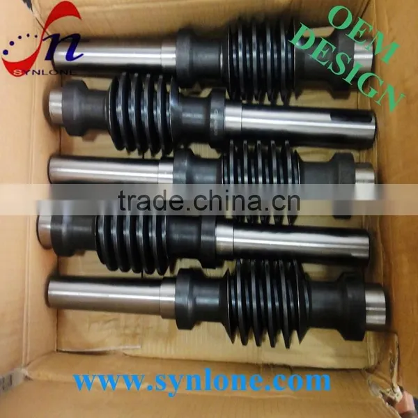 Customized Machining Worm photo-6