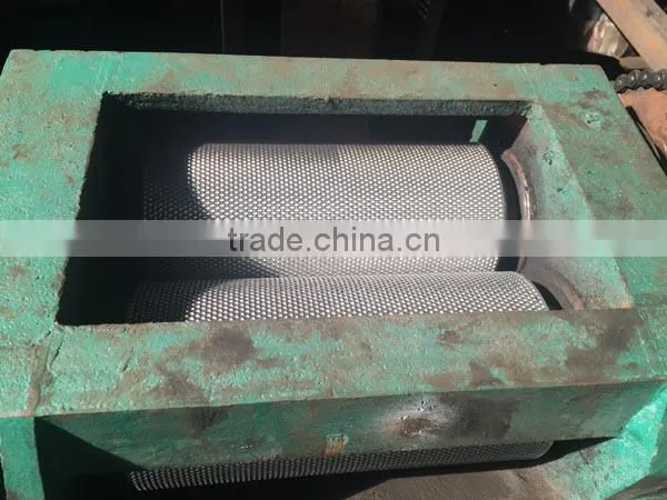 Double Roller Compaction Granulator Manufacturer photo-5