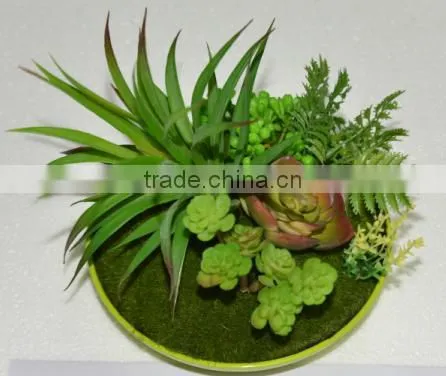 SJ3001011 Indoor Mini Bonsai Cactus Plant Artificial photo-6
