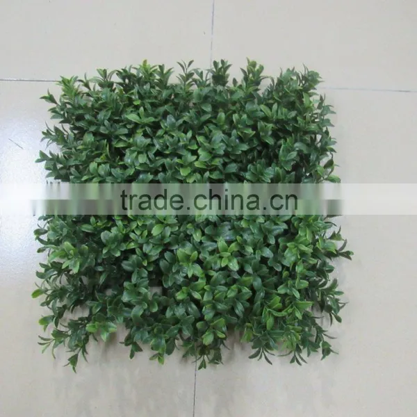 Grass Turf /plastic Grass Mat / for Hedge / Wall photo-2