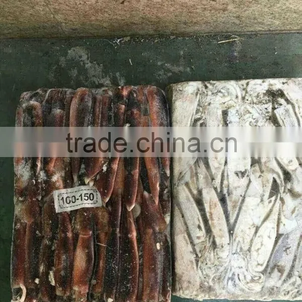 Frozen Illex Argentinus Squid for Sale photo-6