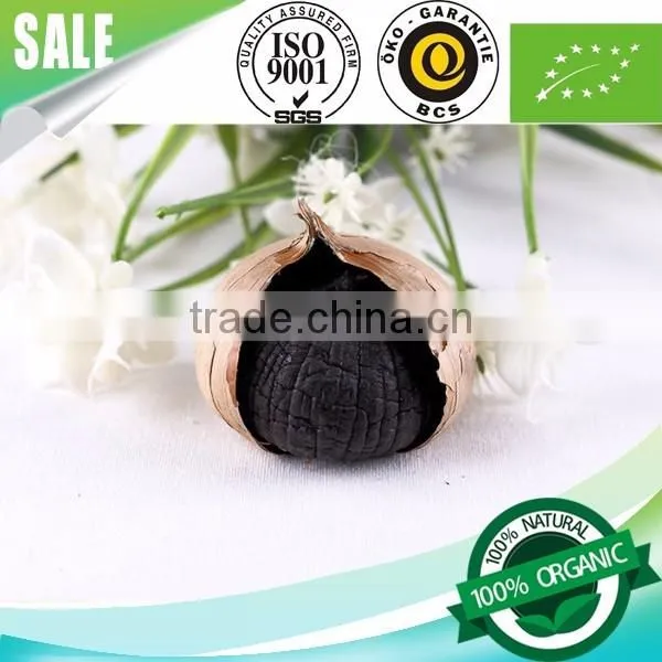 Supply l Black Garlic 100% Natural photo-3
