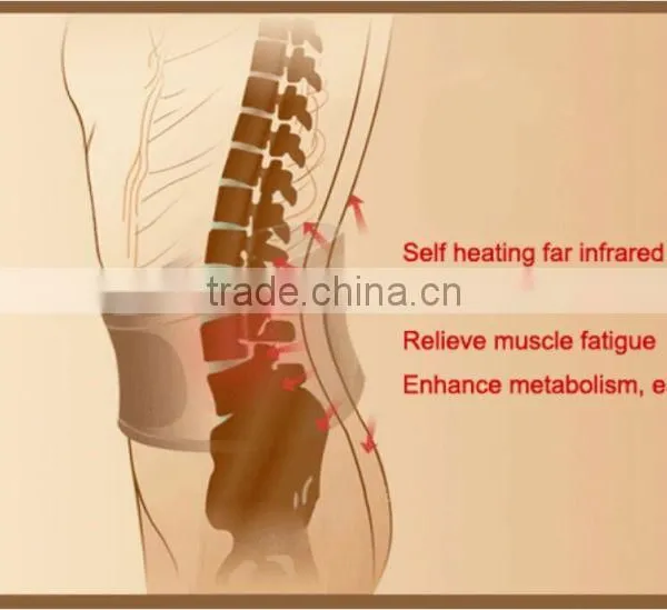 Good Support Back Pain Brace photo-6
