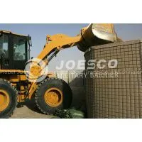 Gabion Barriers/defensive Barriers of Innate Immunity/JOESCO photo-3