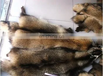 Factory Wholesale High Quality Cheap Price Raccoon Skins Raccoon Trimming photo-3