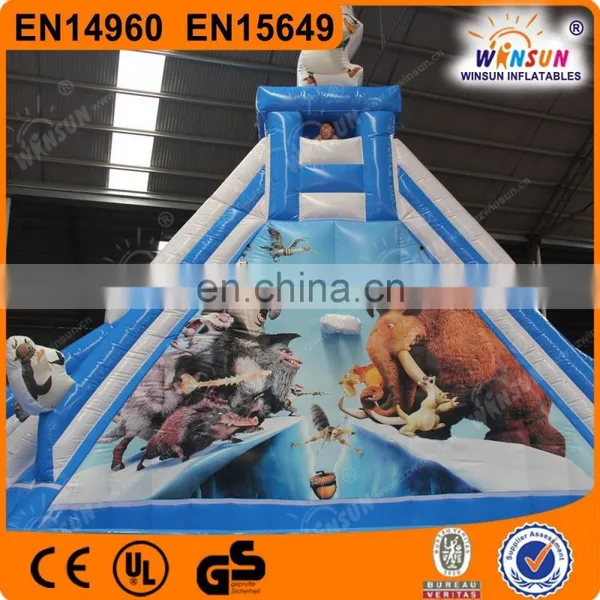 Inflatable Jumbo Water Slide Inflatable Slide for Pool photo-4