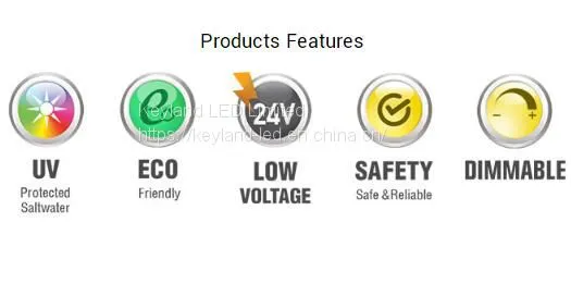 Dot-Free LED Flexible Neon Anti-UV LED Neon Light photo-2