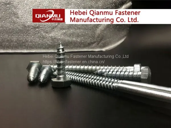 HEX HEAD LAG Wood Screw of Standard DIN571 Galvanized Wood Screw photo-5