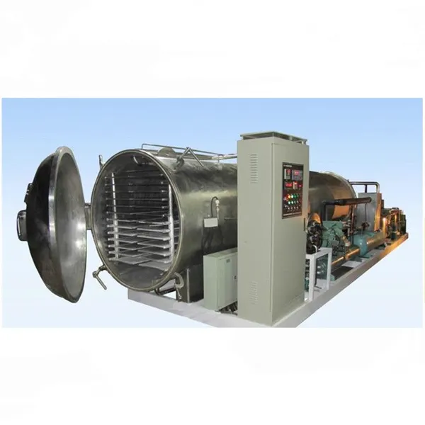 Shanghai Vacuum Freeze Dryer / Lyophilizer Machine for Industrial Fruit and Vegetables photo-6