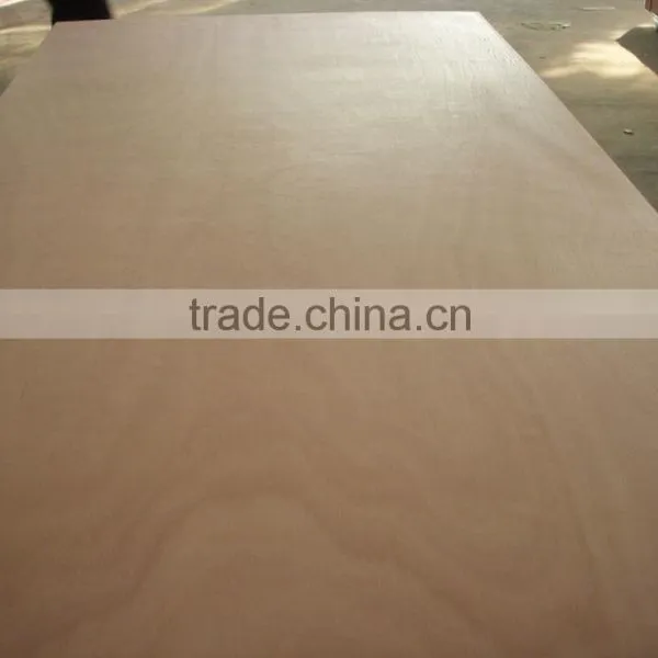 Bs1088 3mm Marine Plywood photo-4