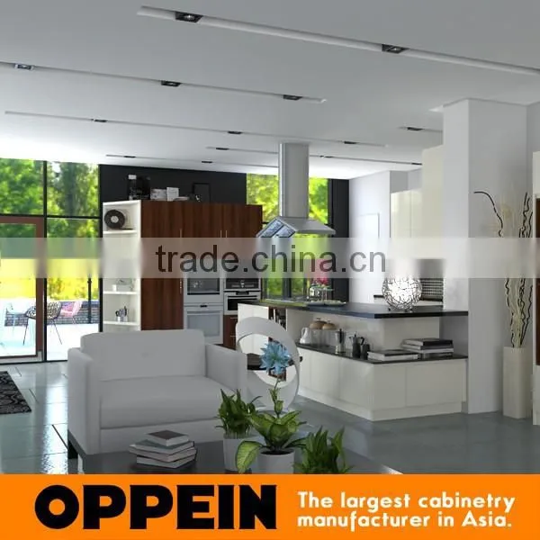 Project Modern Modular Kitchen Designs Small Kitchens photo-4