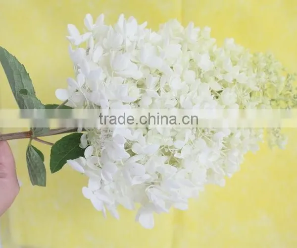 Elegant in Smell Hot-sale Hydrangea Flower for Sale photo-3