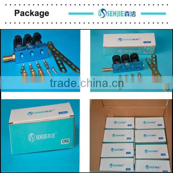 3cyl 6cyl CNG/LPG Fuel Injector