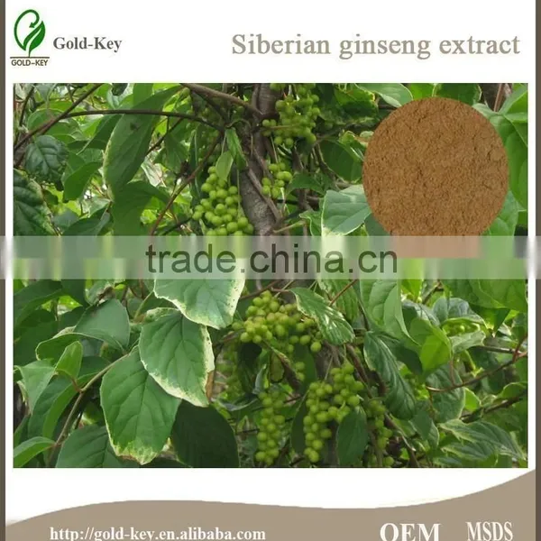 High Quality Siberian Ginseng Extract for Hair photo-4