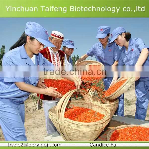 Organic Ningxia Goji Berry photo-2