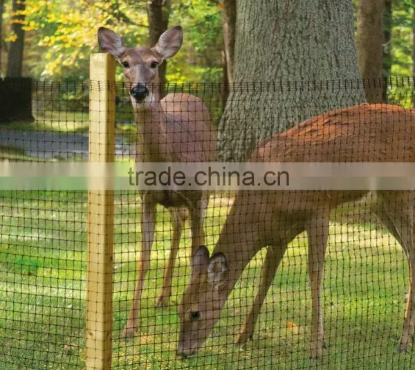 Plastic Netting Protected Deer From Damage & Ideal for Seasonal photo-3