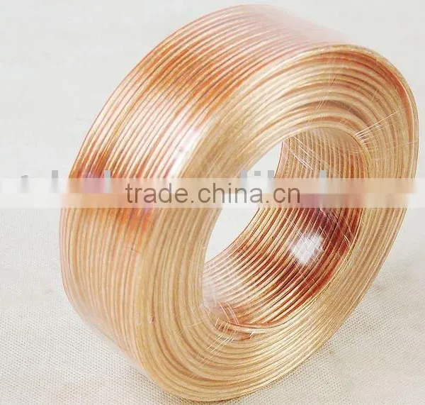 Transparent Speaker Cable