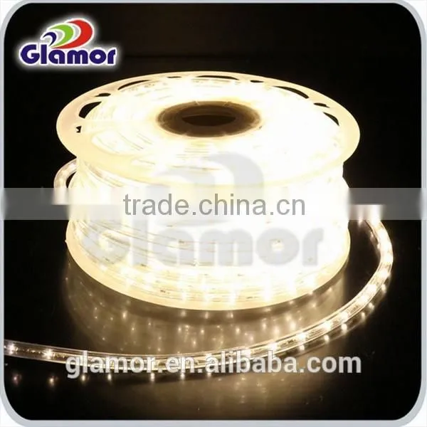 LED Rope Light With CE Certificate IP54 Waterproof High Lumen photo-5