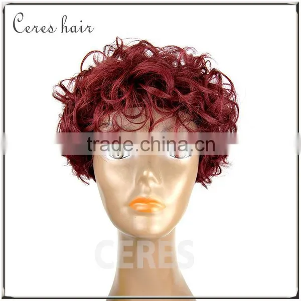 Short Cosplay Wig Lace Wig Human Hair for Christmas or Halloween Party Wig photo-4