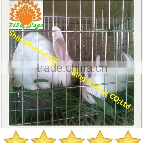 Automatic Mather Rabbit Farm Cage Equipment Cheap Price photo-2