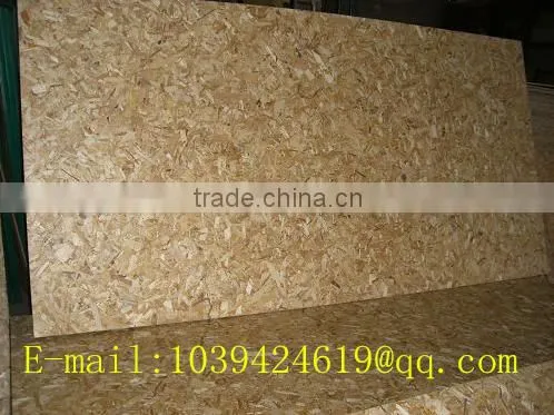 Linyi China 16.5mm E1 Osb Guanlin Wood Factory photo-5