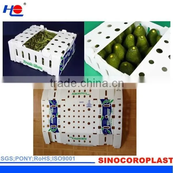 PP Material Accept Custom Order Corrugated Plastic Box photo-4