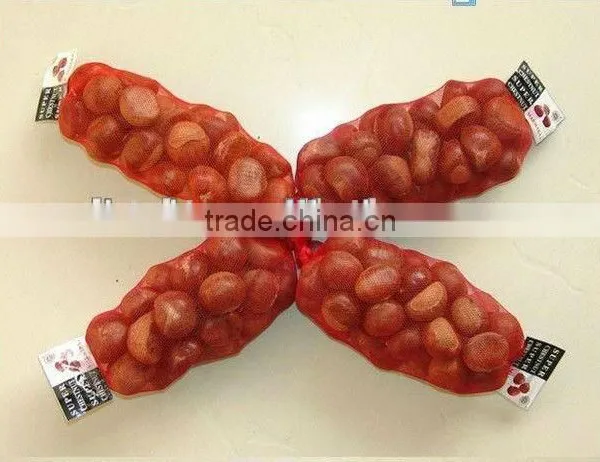Chinese Fresh Chestnut in Shell With Sweet Taste Ons Ale photo-3