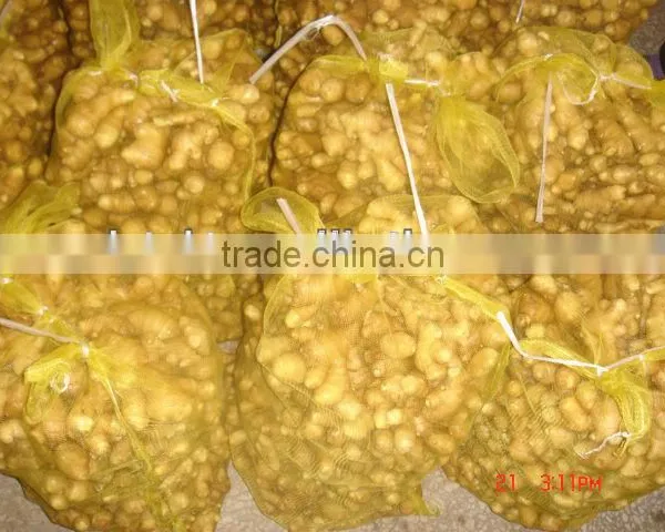 Chinese Low Price Ginger photo-3