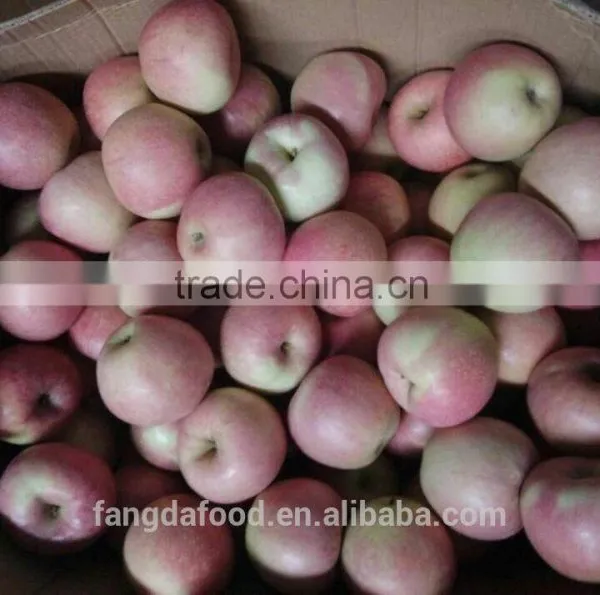 Paper Bagged Qinguan Apple photo-2