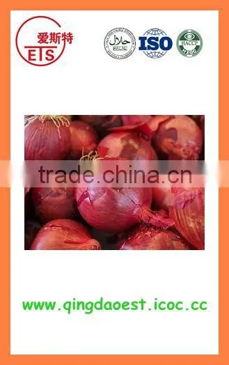 Export China Fresh New Crop Red and Yellow Onion photo-2