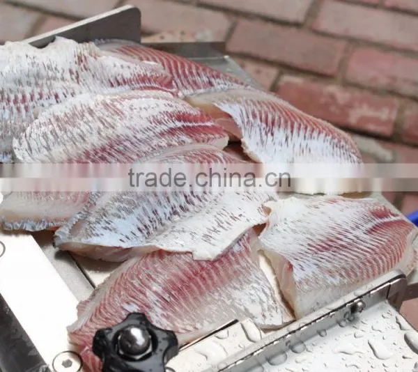 FGB-400 Best Selling Skinner Machine Fish Skin Removing Removal Machine photo-5
