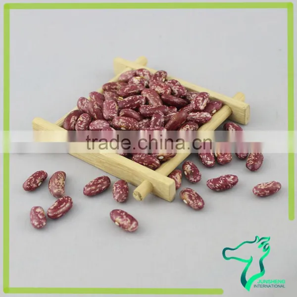 Red Speckled Kidney Beans photo-3