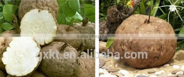 Thailand Pueraria Mirifica Capsules Breast Enhancement 1000 Grains photo-2