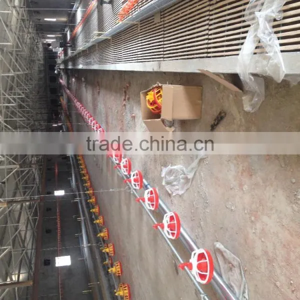 Breeder Chain Pan Feeding System photo-5